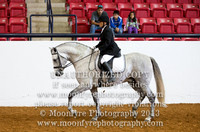 092 National Championship Andalusian Dressage Suitability Open