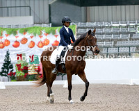 All Riders-Main Arena