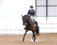 2020 HDS Summer Show