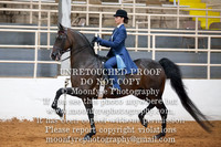 12. Saddleseat Equitation 17 & Under