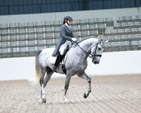 Kat Andalusians