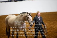 109 - National Championship Andalusian Mares - All Ages - Amateur to Handle