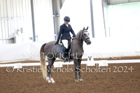 Dressage Photos