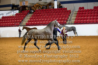 066 National Grand Champion Half-Andalusian Mares 3 Years & Over