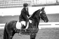 102 Cimmarron