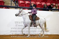 077 National Champion Andalusian/Half Andalusian Western Equitation 17 and Under