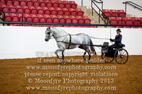 157 - Natl. Championship Andalusian Country Pleasure Driving Open