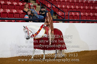 164 - Natl. Championship Andalusian/Half-Andalusian Fantasy Costume Open