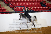 148 - Natl. Championship Andalusian Country English Pleasure Amateur