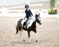 2025 HDS Winter Show