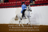 119 - Natl. Championship Andalusian English Pleasure Saddle Seat Amateur