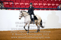 153 - Natl. Championship Andalusian Dressage Suitability Amateur