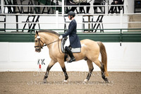 371 Wolny Mischiel