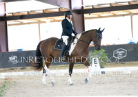 Dressage Rides
