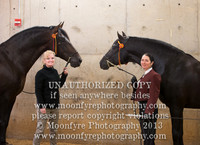 073 A National Champion Andalusian SR Stallions 5 Years and Over