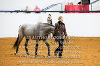074 National Champion Half Andalusian Best Movement