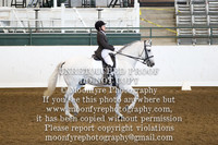 2014 HDS Winter Show