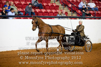 120 - Natl. Championship Andalusian Pleasure Driving Open