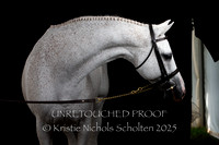 2025 Kristin Sheftel and Schmoo