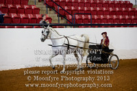 122 - Natl. Championship Half-Andalusian Country English Pleasure Jr. Exhibitor 17 & Under