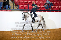 127 - Natl. Championship Andalusian English Show Hack Open