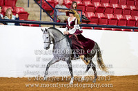 156 - Natl. Championship Half-Andalusian Costume Open
