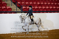 145 - Natl. Championship Andalusian/Half-Andalusian Hunt Seat Equitation 17 Yrs. & Under