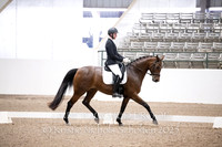 339 Cilhouette MW