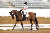 100 Excalibur VP