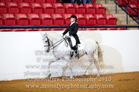 82 National Champion Half Andalusian Show Hack Open