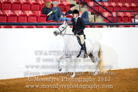 139 - Natl. Championship Andalusian English Pleasure Hunt Seat Jr. Exhibitor 17 Yrs. & Under