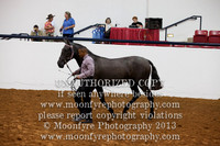 031 National Championship Spanish Filies 2 Years and Under
