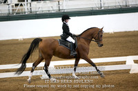 567 Tamar Elegant Miss