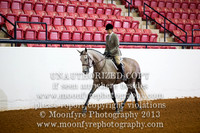 118 - Natl. Championship Andalusian English Pleasure Hunt Seat Jr. Horse