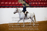 143 - Natl. Championship Andalusian/Half-Andalusian Walk-Trot Equitation 10 Yrs. & Under