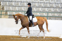 397 Cantor