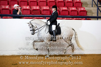 078 National Champion Andalusian Dressage Tack Amateur