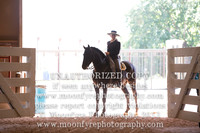 075 National Champion Heritage Tack and Attire Open