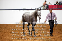 036 National Championship Spanish Stallions Functionality Test