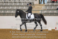 289 Odin (Jessica Quillivan)