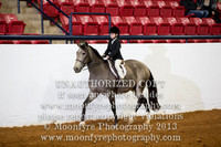 146 - Natl. Championship Half-Andalusian Western Pleasure Jr. Horse