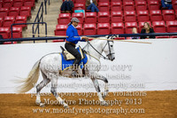 Watt Arena (In Hand/Working Equitation over Obstacles)