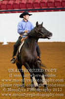 129/130 Reining and Working Cow Events