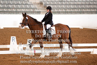 124 Henry (Jennifer Bertnick)