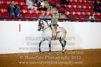 131 - Natl. Championship Andalusian Native Tack & Attire Open