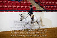 149 - Natl. Champ Half-Andalusian English Pleasure Jr. Exhibitor 17 Yrs. & Under